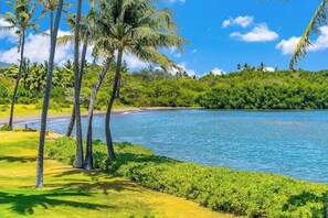 Una playa tropical con palmeras, cielo azul despejado y mar tranquilo.