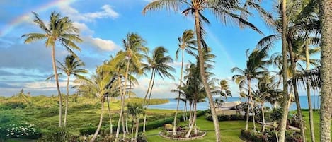 A tropical landscape with palm trees, a lawn, and a view of the ocean.