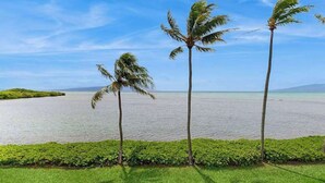 A tropical beach with palm trees and a view of the ocean. - *NEW* Third-Floor Molokai Oceanfront Views with Pool (Kaunakakai)