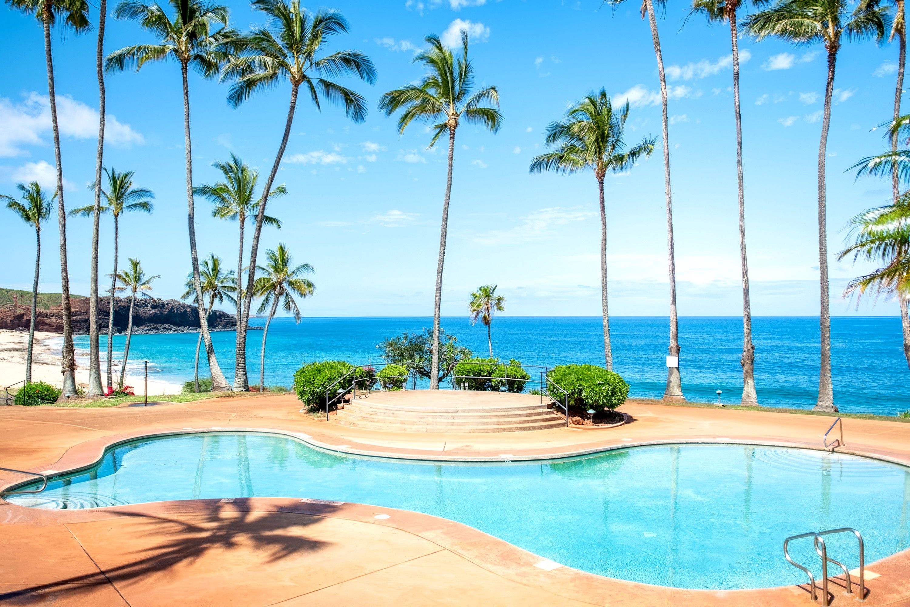 A swimming pool with a view of the ocean and palm trees.