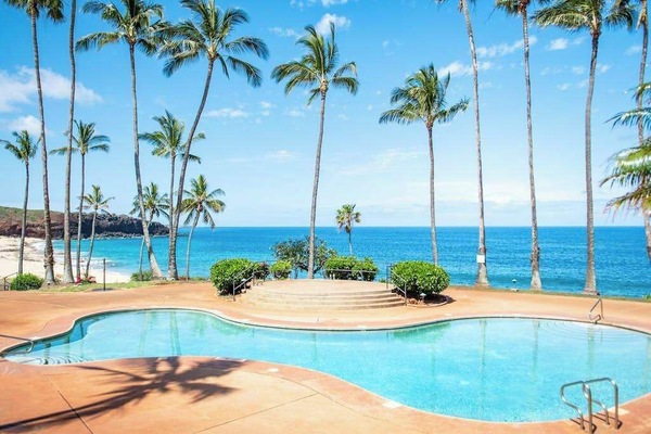 Resort pool invites swimming beside palms, ocean, and tropical gardens