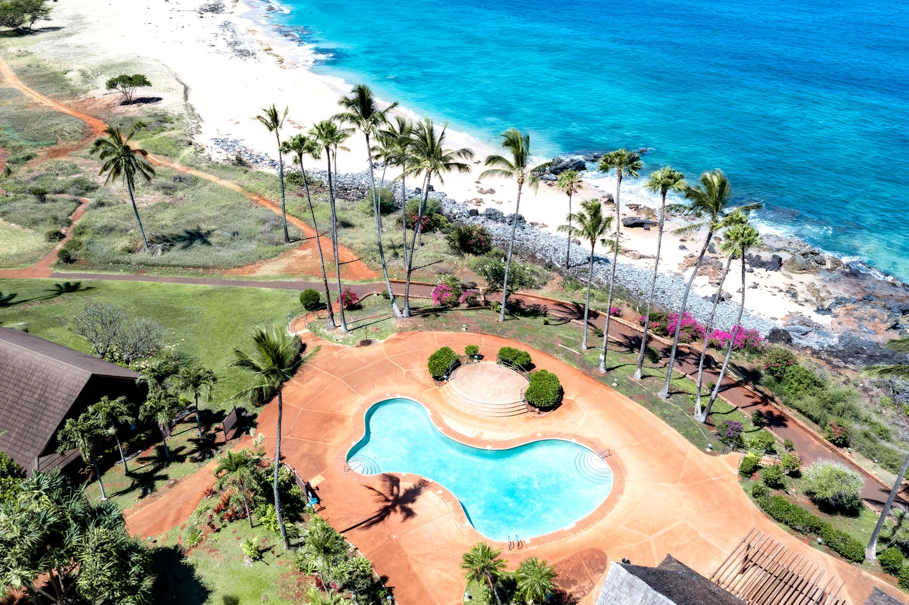 A swimming pool with a heart-shaped design, surrounded by palm trees and a beach.