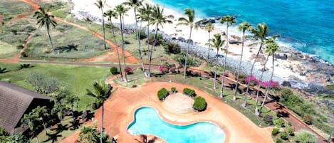 A swimming pool with a heart-shaped design, surrounded by palm trees and a beach.