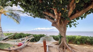 A hammock under a large tree, a small table, and a view of the beach. - *New* Fall Sale Molokai Studio for Poolside Sunsets Near Kaunakakai (Kaunakakai)