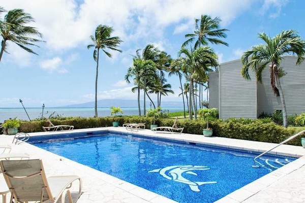 Shared pool offers refreshing swimming amid grounds and ocean views