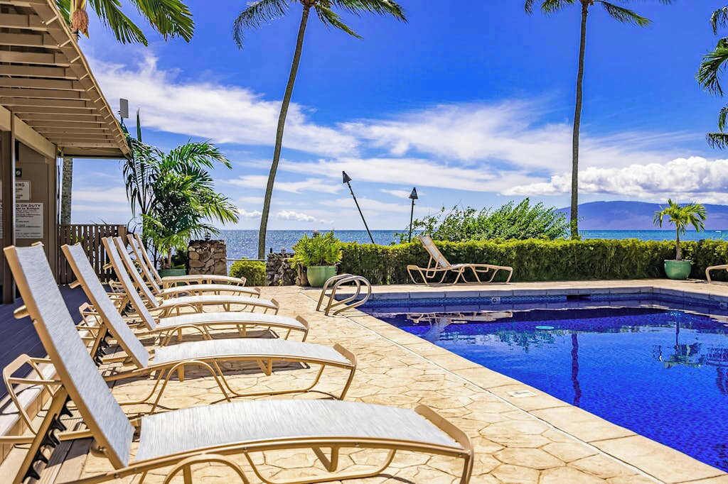Pool deck features loungers, tropical palms, and expansive ocean horizon