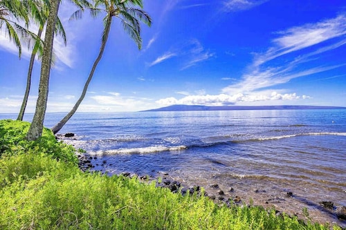 *New* Fall Deal Oceanfront Molokai Retreat with Pool and Tennis