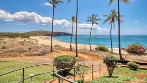 A coastal landscape with palm trees, a beach, and a clear sky.