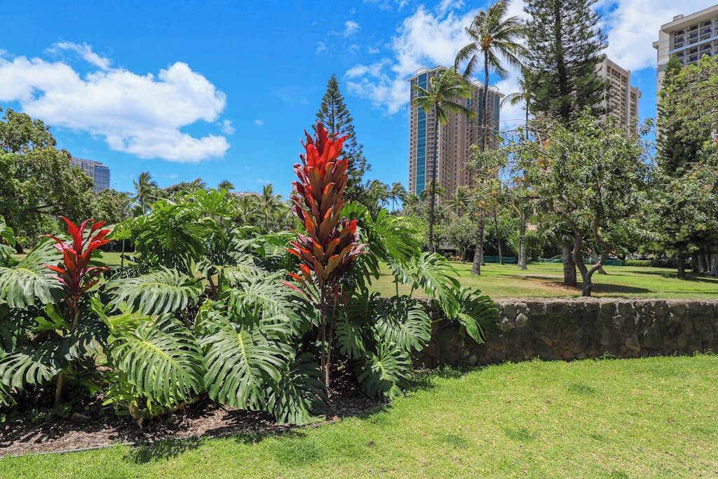 A lush garden with tropical plants and a stone wall, surrounded by tall buildings.