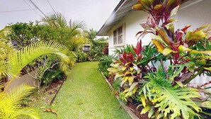Un jardín bien cuidado con diversas plantas tropicales y un camino que lleva a una casa.