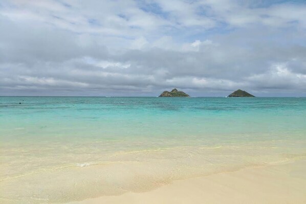 Beach - Waikiki Mountain Views with Pool, Hot Tub & Sauna (Honolulu)