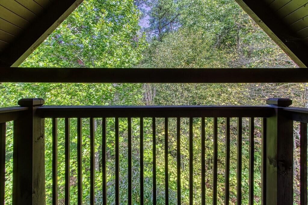 Un ponte di legno affacciato su una fitta vegetazione verde.