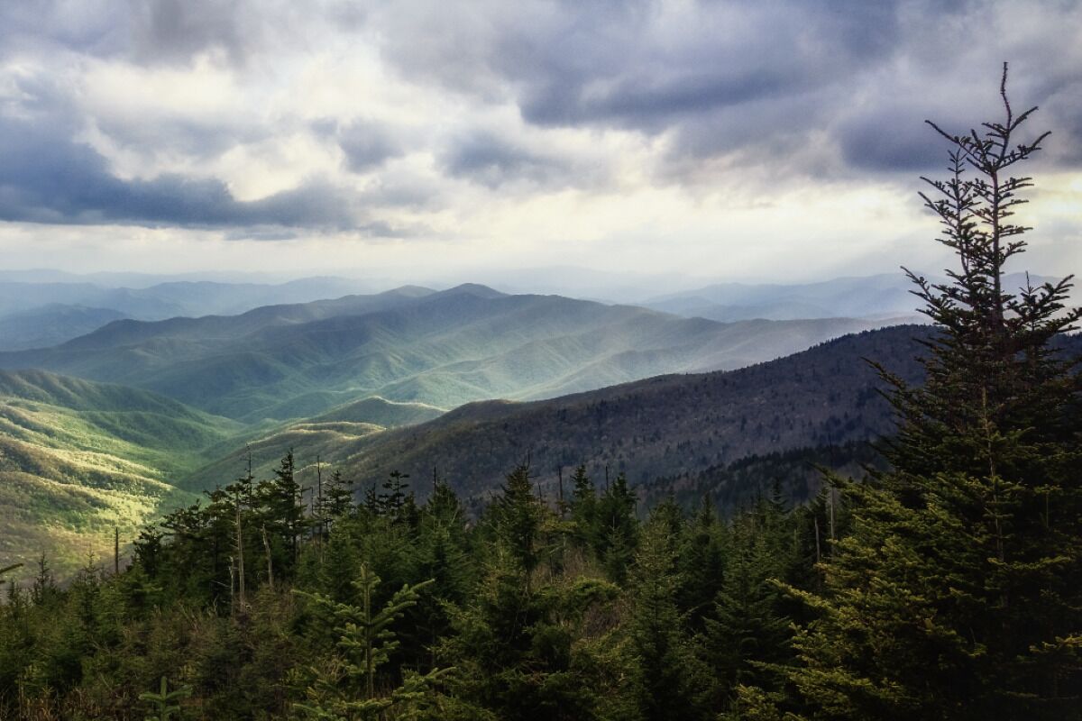 A mountainous landscape with dense forest.