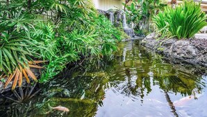 Uno stagno con piante acquatiche e una cascata, circondato da vegetazione lussureggiante.