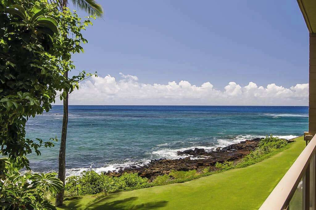 A view of the ocean from a balcony with a grassy area and a palm tree.