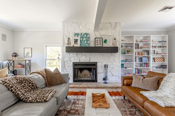 TV, fireplace, video games, books