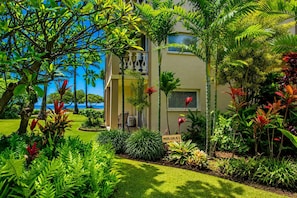 A building with a sign reading 'MOLOKA'I' surrounded by lush tropical vegetation and a clear blue sky. - NEW Beachside Kapaa Studio by Coconut Marketplace (Kapaa)
