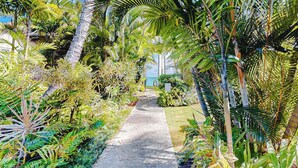 A pathway surrounded by lush tropical vegetation, leading to a building with a clear view of the ocean. - *New* Ground-Floor Kauaʻi Oceanfront Studio, Steps to Beach (Kapaa)