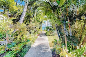 Property grounds - Easy Kapaa Oceanfront Studio - Walk to Pool, Beach & Dining (Kapaa)