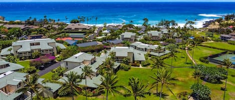 Zona residencial costera con casas, palmeras y vista al océano.