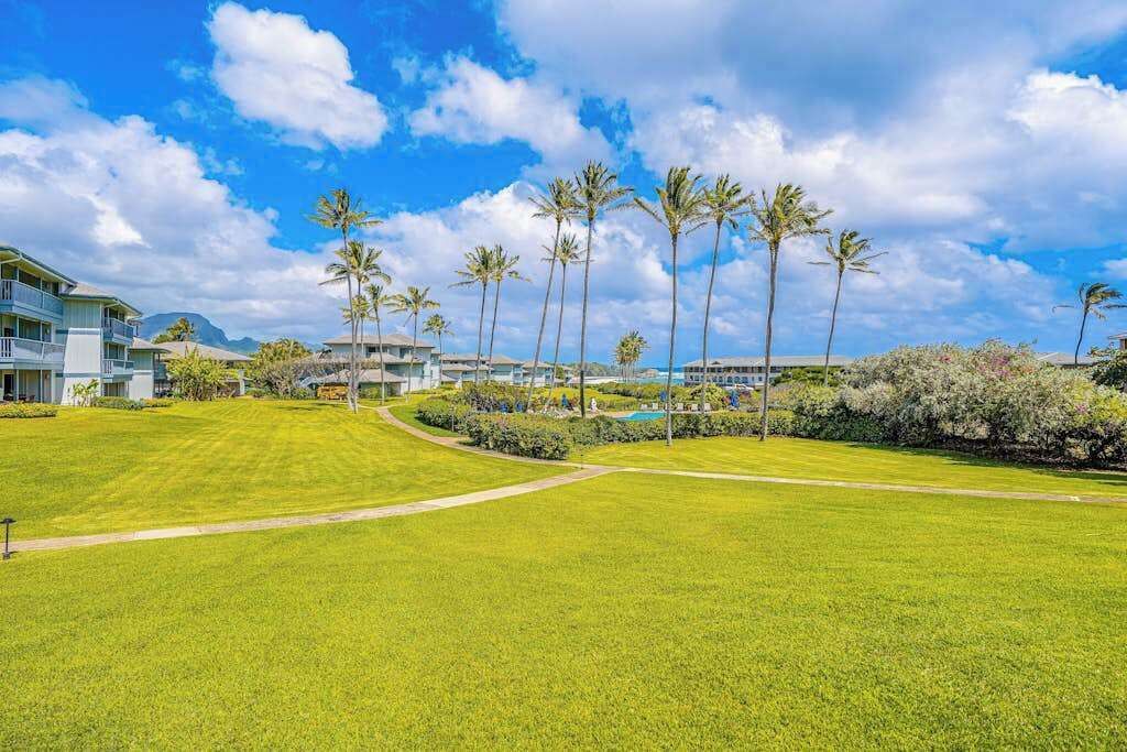 A well-maintained grassy area with palm trees and a pool, surrounded by modern buildings.