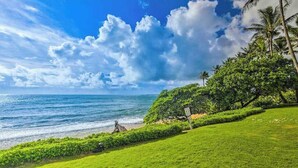 Paisaje costero con zona verde, playa y palmeras.