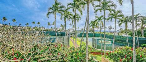 A tropical resort with palm trees, a wooden deck, and a tennis court.