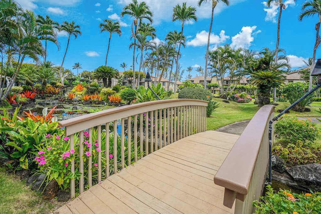 A wooden bridge with a railing, surrounded by tropical vegetation and palm trees.