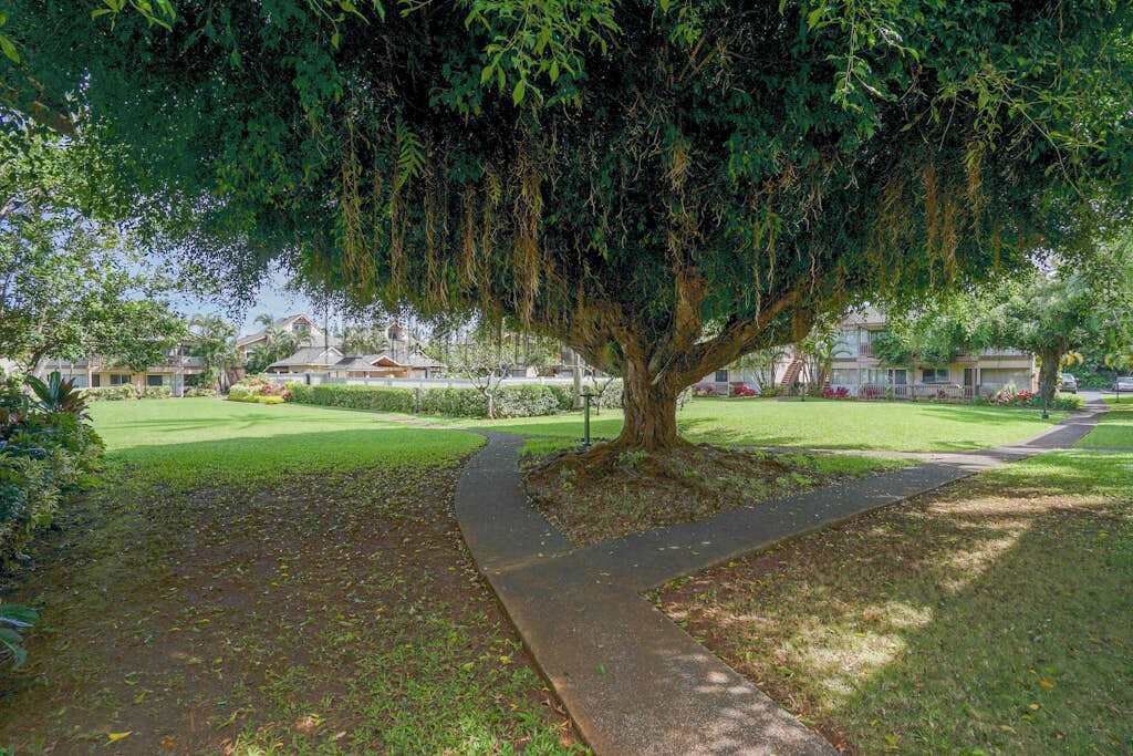 Un chemin bordé d’arbres dans un quartier résidentiel, avec des maisons en arrière-plan.