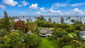 Un paysage tropical luxuriant avec vue sur l’océan, comprenant une maison entourée d’une végétation dense et de palmiers.