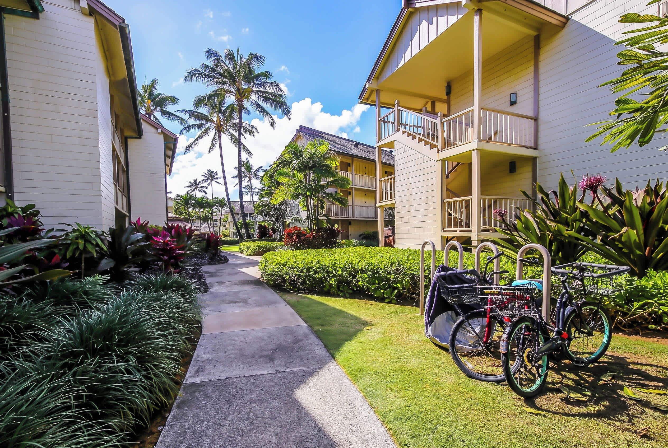 A pathway leading to a building with a balcony, surrounded by tropical plants and palm trees.