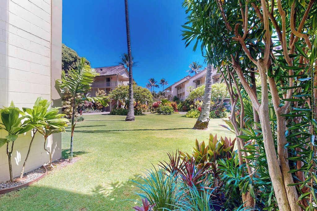 Un jardín bien cuidado con palmeras y diversas plantas, un cielo azul despejado y un edificio de fachada blanca.