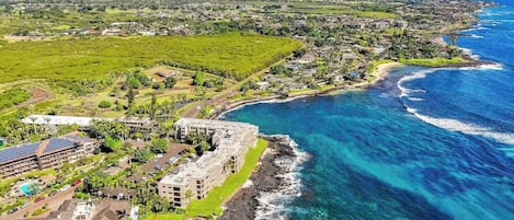 An aerial view of a coastal resort with a large building, beachfront property, and surrounding greenery.