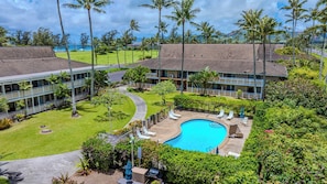 A resort with a swimming pool, multiple buildings, and lush greenery. - *NEW* Fall Sale Remodeled Kapaa 1BR with Lanai and Beach Access (Kapaa)