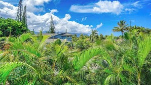 A tropical landscape with a house surrounded by dense palm trees and a clear blue sky. - Princeville Paniolo 202A/202B Duplex- AC, Pool, Laundry- Hanalei Mountain Views (Princeville)