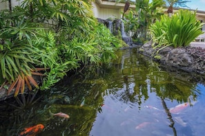 Property grounds - Water-View 3rd-Floor Lihue Condo with Pool, Steps to Beach (Lihue)