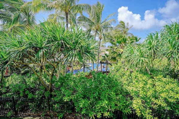 Um jardim tropical exuberante, com palmeiras e folhagem densa.