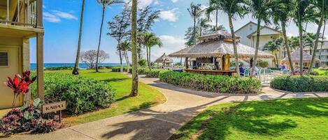 A resort with a pathway leading to a building, palm trees, and a view of the ocean.