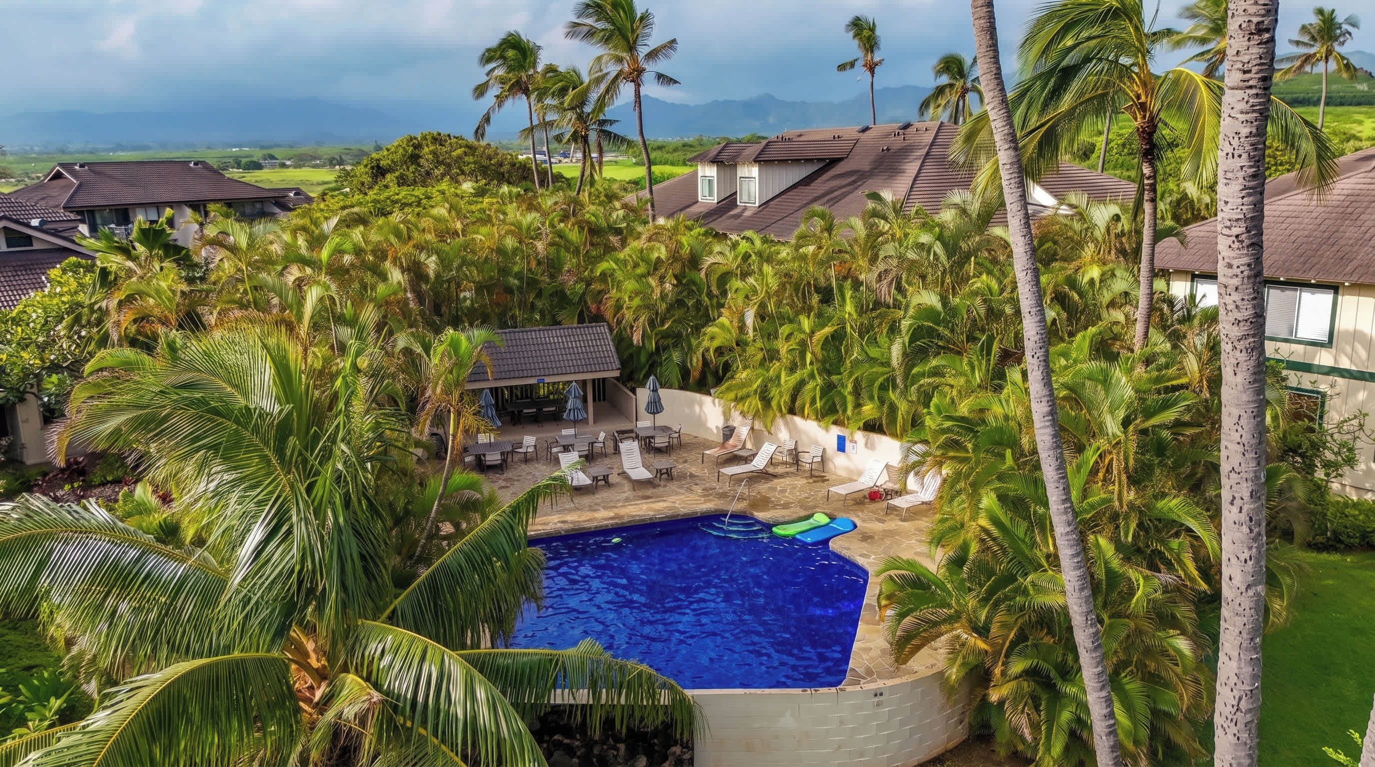 A pool area with lounge chairs and umbrellas, surrounded by palm trees and a view of the landscape.