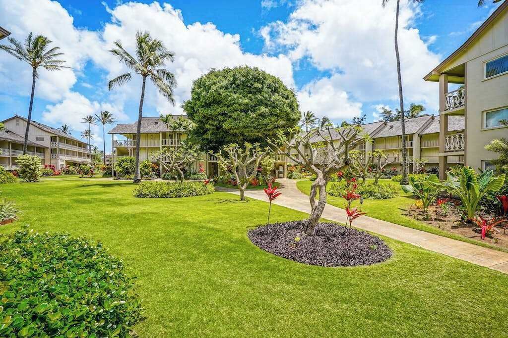 Un patio de hotel con césped cuidado, palmeras y un jardín circular central con un árbol y flores rojas.