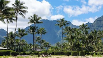 A tropical landscape with palm trees and mountains in the background.