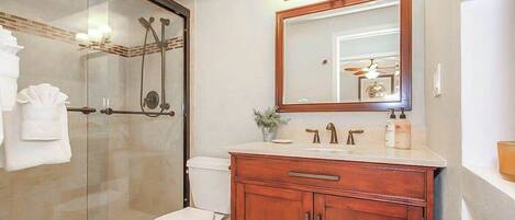 A bathroom with a glass shower enclosure, a white toilet, a wooden vanity with a mirror, and a small potted plant.