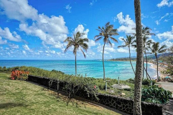 On the beach - Stay on the Coconut Coast in a Condo with Pool, W/D & Free WiFi (Kapaa)