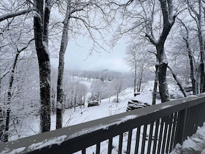 Property grounds - COMING SOON!  Beech on The Rocks | pet friendly, club access, mtn views! (Banner Elk)