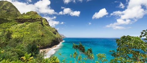 A coastal landscape with a clear view of the ocean, a sandy beach, and lush greenery.