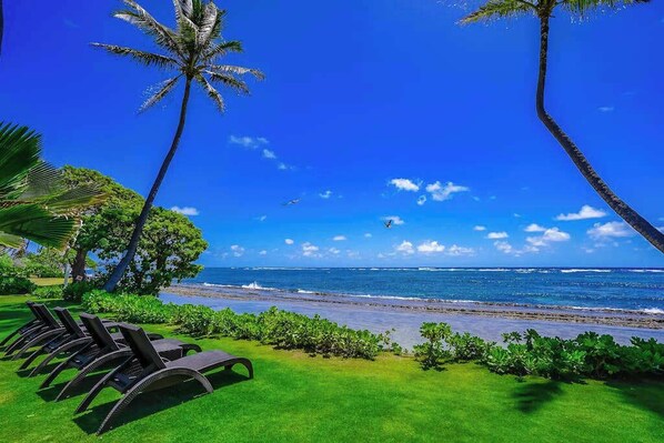 Une vue sur la plage, avec des palmiers, un ciel dégagé et une rangée de transats.