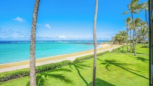 A tropical beach view with palm trees and a clear sky. - *NEW* Oceanfront Kapaa Retreat with Private Lanai and Pool (Kapaa)