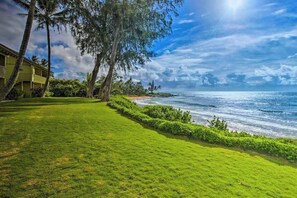 Property grounds - Ground-Floor Kapaa Oceanfront Studio Steps to Pool & Sand (Kapaa)