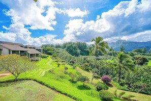 Property grounds - Roomy Princeville Loft with Pool, Hot Tub & Grills (Princeville)