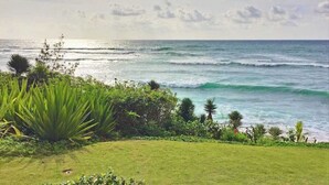 A coastal landscape with a grassy foreground, a variety of green plants, and the ocean in the background. - *New* Oceanfront Sunrise Retreat on Kauai's Coconut Coast (Kapaa)